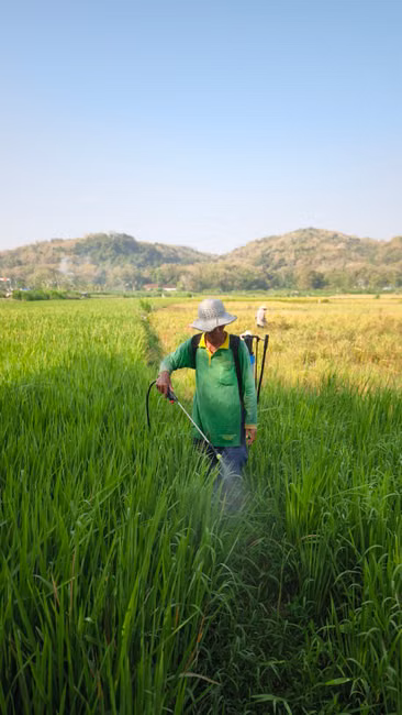 Fertilizantes e Corretivos